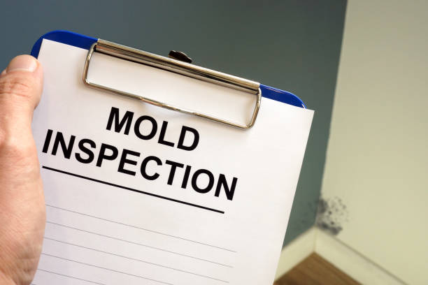 Best Basement Mold Removal  in Carroll Valley, PA